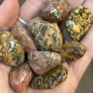 Leopard Skin Jasper Tumble Stone