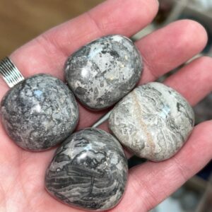 Picasso Jasper Tumble Stone