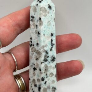 Kiwi Jasper - Image 3