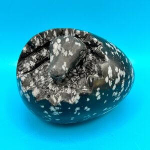 Snowflake Obsidian Hatching Egg