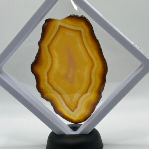 Iris Eye Slice