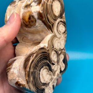 Chocolate Calcite Part Polished Freeform - Image 5