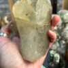 Dogs Tooth Calcite - Image 2