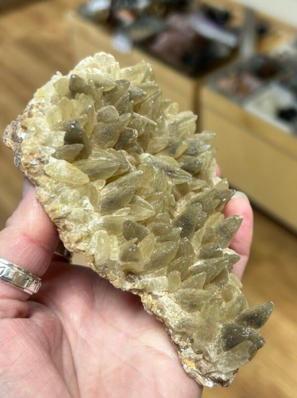 Dogs Tooth Calcite Cluster