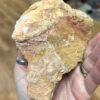 Dogs Tooth Calcite Cluster - Image 4