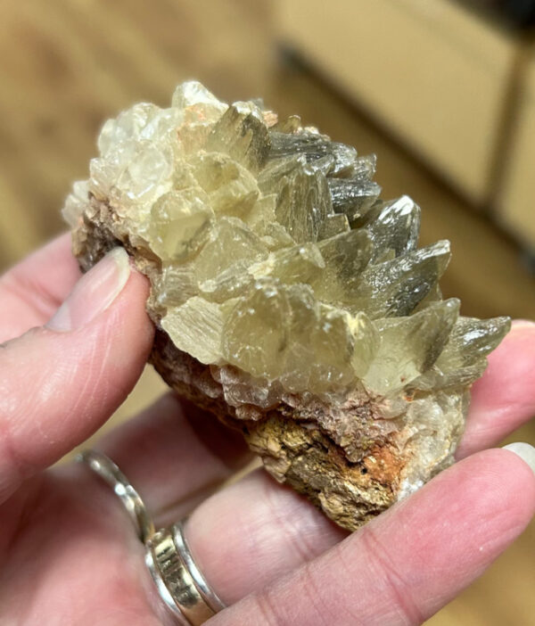 Dogs Tooth Calcite Cluster - Image 3