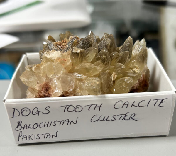 Dogs Tooth Calcite Cluster - Image 5