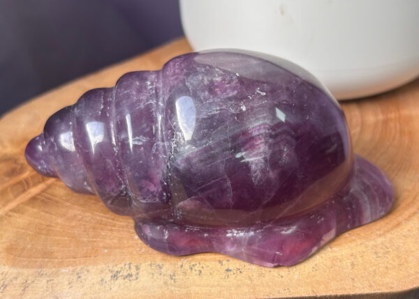 Rainbow Fluorite Shell - Image 5