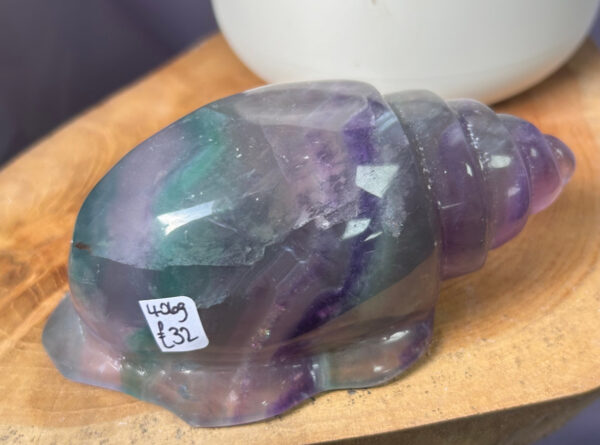 Rainbow Fluorite Shell - Image 2