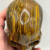 Tiger Eye Skull - Image 5