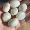 Rainbow Moonstone Tumble