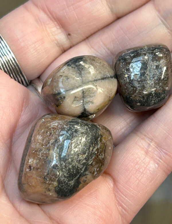 Chiastolite Tumble Stone - Image 3