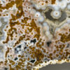 8th Vein Ocean Jasper Slab - Image 6