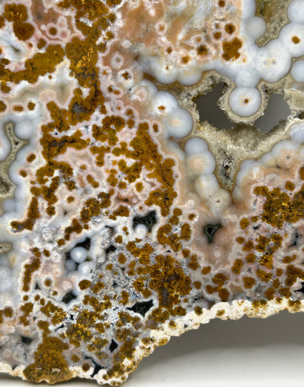 8th Vein Ocean Jasper Slab - Image 6