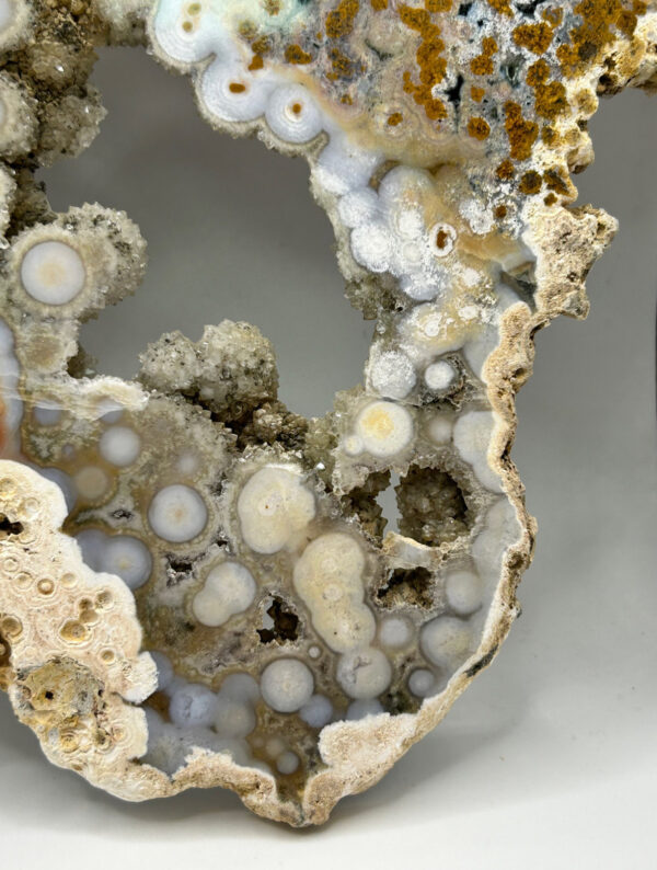 8th Vein Ocean Jasper Slab - Image 7