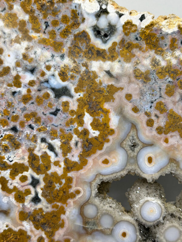 8th Vein Ocean Jasper Slab - Image 8