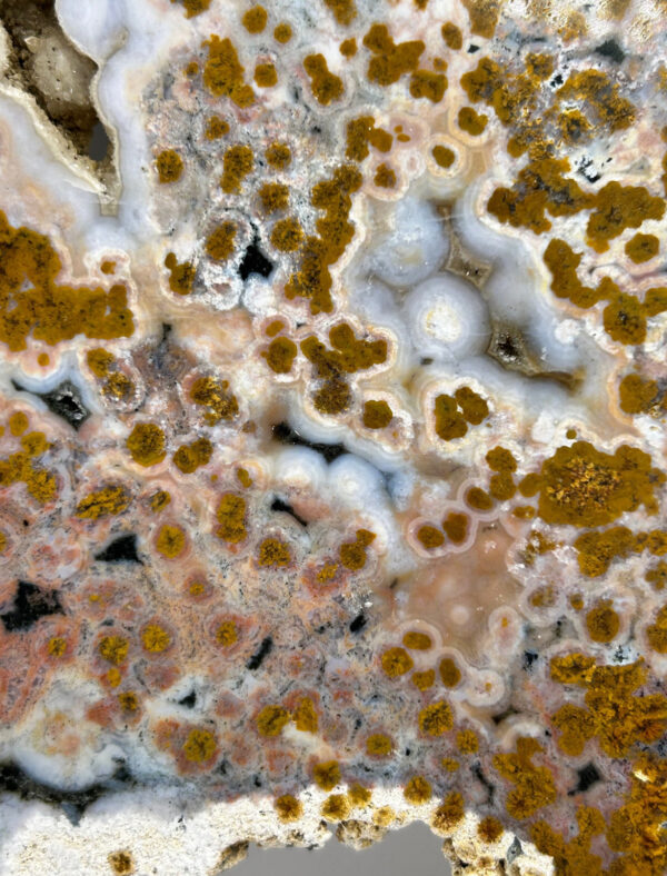 8th Vein Ocean Jasper Slab - Image 9