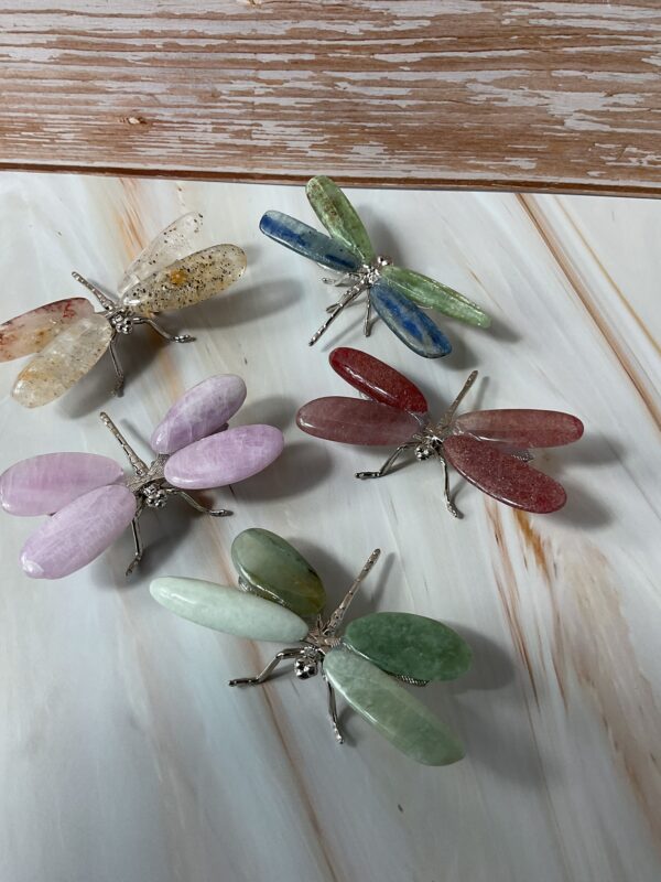 Dragonfly with crystal wings