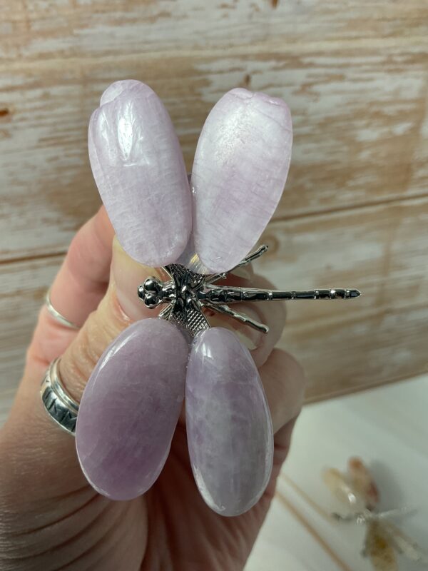 Dragonfly with crystal wings - Image 5