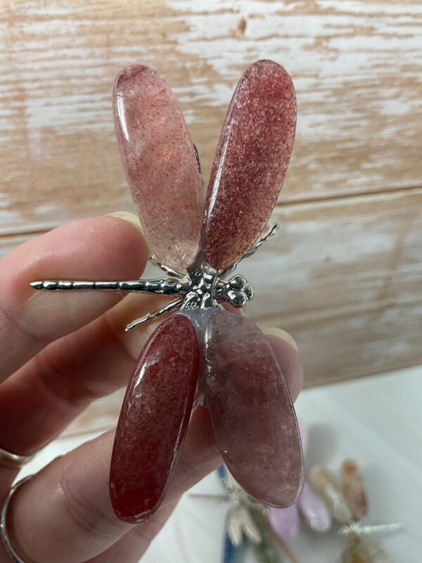 Dragonfly with crystal wings - Image 7