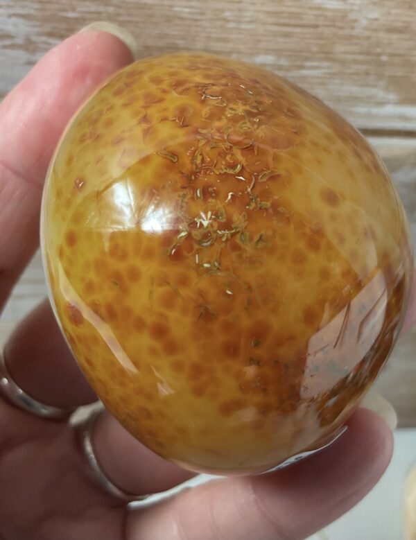 Carnelian Geodes - Image 13