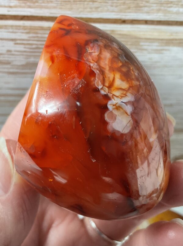 Carnelian Geodes - Image 19