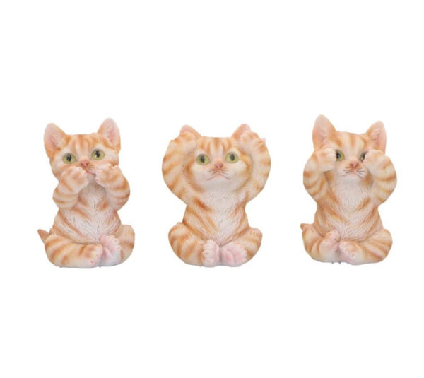 Three Wise Ginger Cats