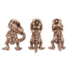 Three Wise Tyrannosaurus Rex Skeletons - Image 4