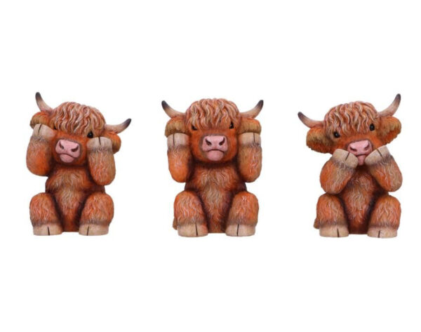 Three Wise Highland Cows - Image 2