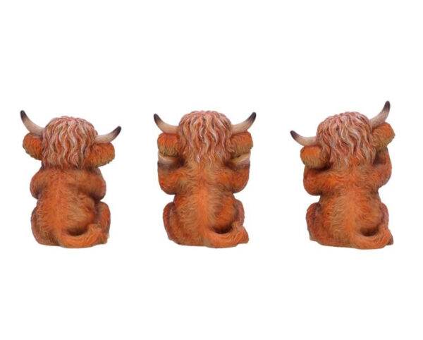 Three Wise Highland Cows - Image 3