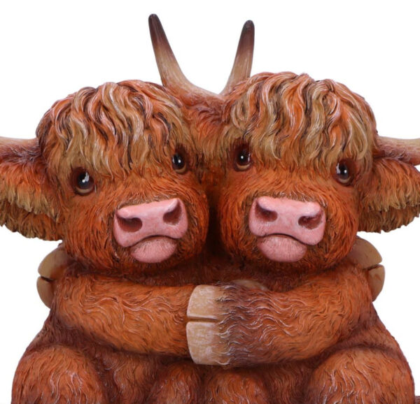 Highland Hugs - Image 3
