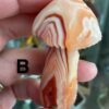 Gobi (Desert) Agate Mushroom Carving