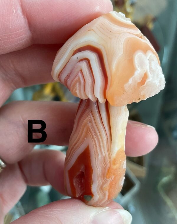 Gobi (Desert) Agate Mushroom Carving