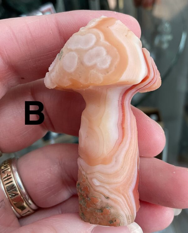 Gobi (Desert) Agate Mushroom Carving - Image 12