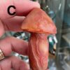 Gobi (Desert) Agate Mushroom Carving - Image 13