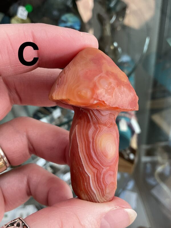 Gobi (Desert) Agate Mushroom Carving - Image 13