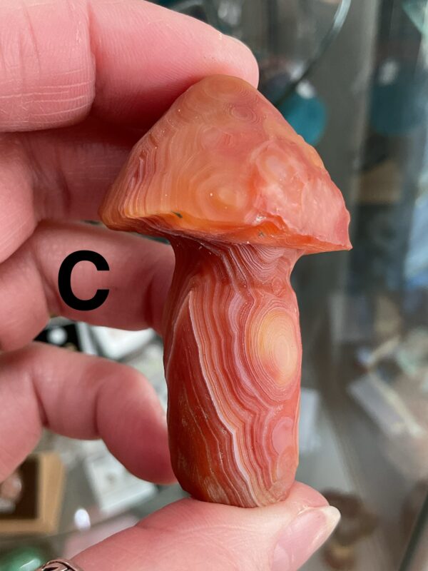 Gobi (Desert) Agate Mushroom Carving - Image 14