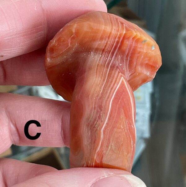 Gobi (Desert) Agate Mushroom Carving - Image 16