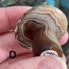 Gobi (Desert) Agate Mushroom Carving - Image 20