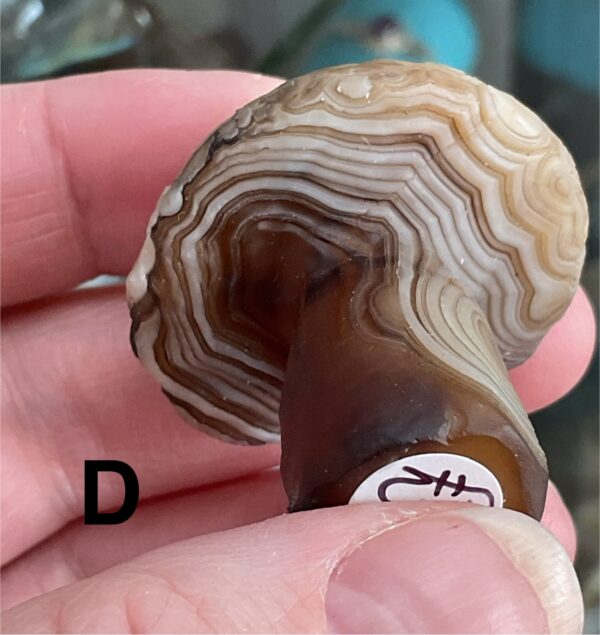 Gobi (Desert) Agate Mushroom Carving - Image 20