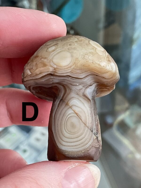 Gobi (Desert) Agate Mushroom Carving - Image 21
