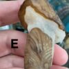 Gobi (Desert) Agate Mushroom Carving - Image 26