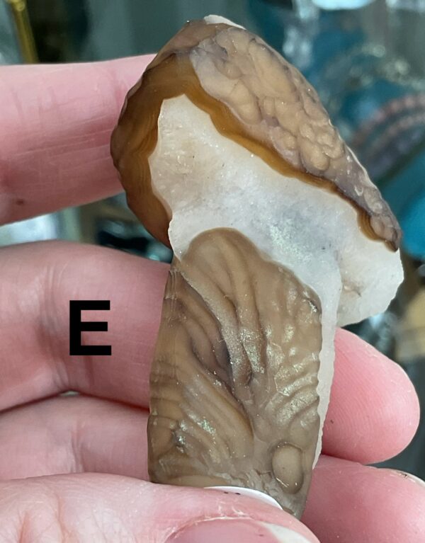 Gobi (Desert) Agate Mushroom Carving - Image 26