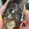Garden Quartz (Lodolite) Lens - Image 4