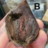 Garden Quartz (Lodolite) Lens - Image 7