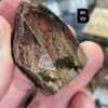 Garden Quartz (Lodolite) Lens - Image 8