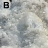 Mongolian ‘Candle’ Quartz - Image 17