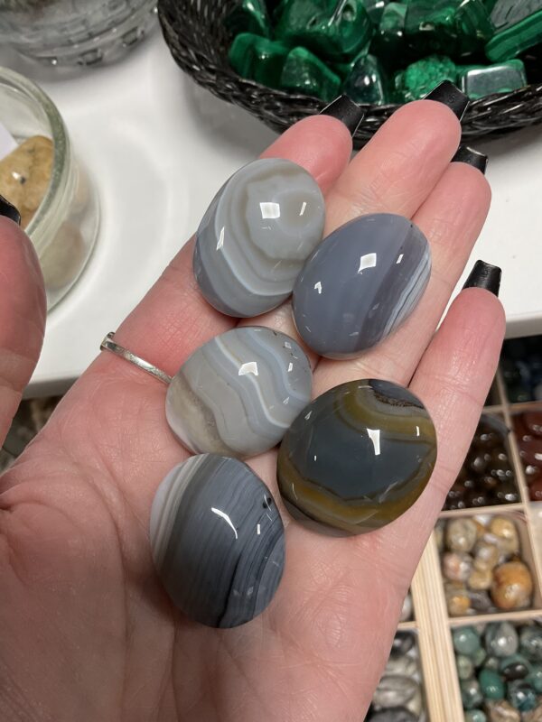 Agate Palm Stone - Image 3