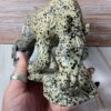 Dalmatian Stone Horse Carving - Image 4
