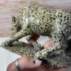 Dalmatian Stone Horse Carving - Image 6